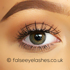 Ardell Wispies Cluster Lashes Black 603 - Front Shot