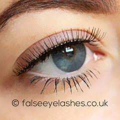 Ardell Lashes Black - Beauties (Model Shot 2)