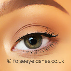 Ardell Runway Lashes - Beautiful - Front Shot