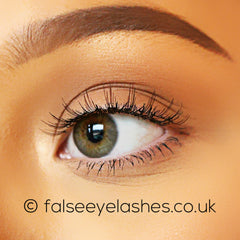 Ardell Chocolate Lashes 888 - Side Shot