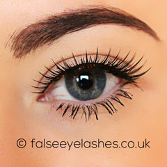 Ardell Runway Lashes - Fancy - Front Shot