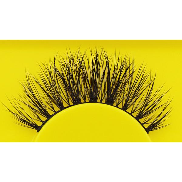Boldface Lashes - Lash Trance (Close Up)