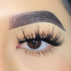 Boldface Lashes - Most Requested (Model Shot)
