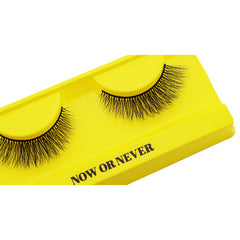 Boldface Lashes - Now or Never (Angled Tray Shot)