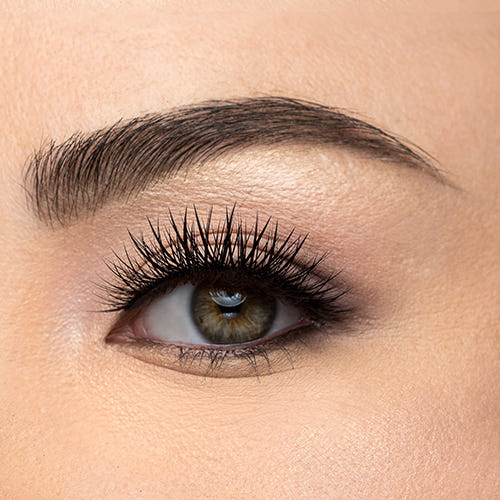 House of Lashes - Boudoir (Model Shot)