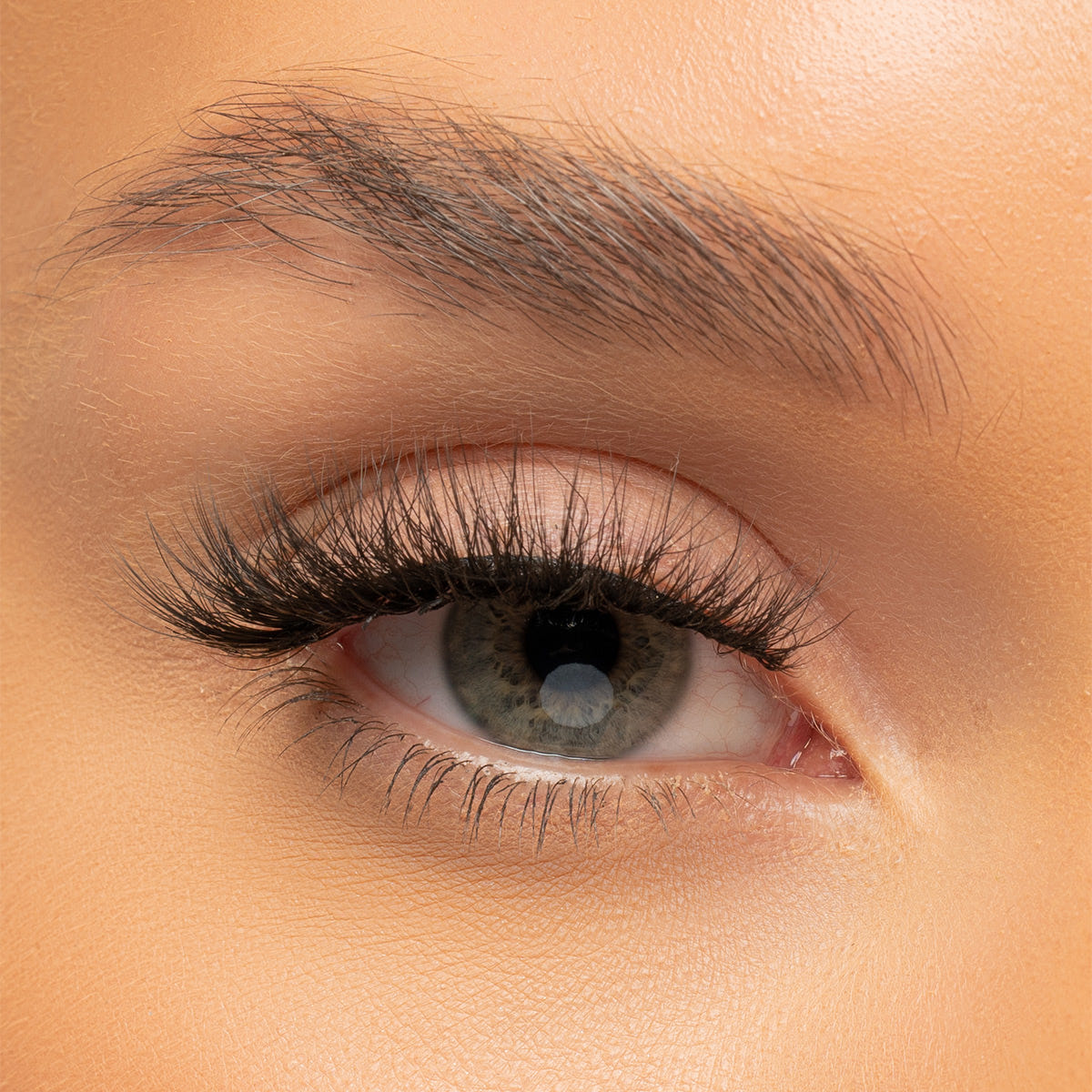 Invogue False Eyelashes - Trending (Model Shot)