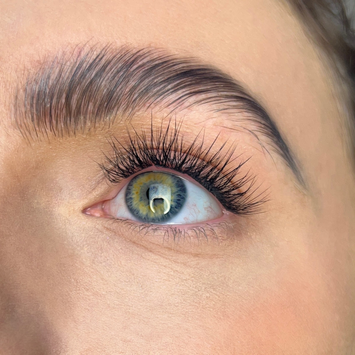 Kiss Falscara - Lengthening Wisps Multipack (Model Shot)