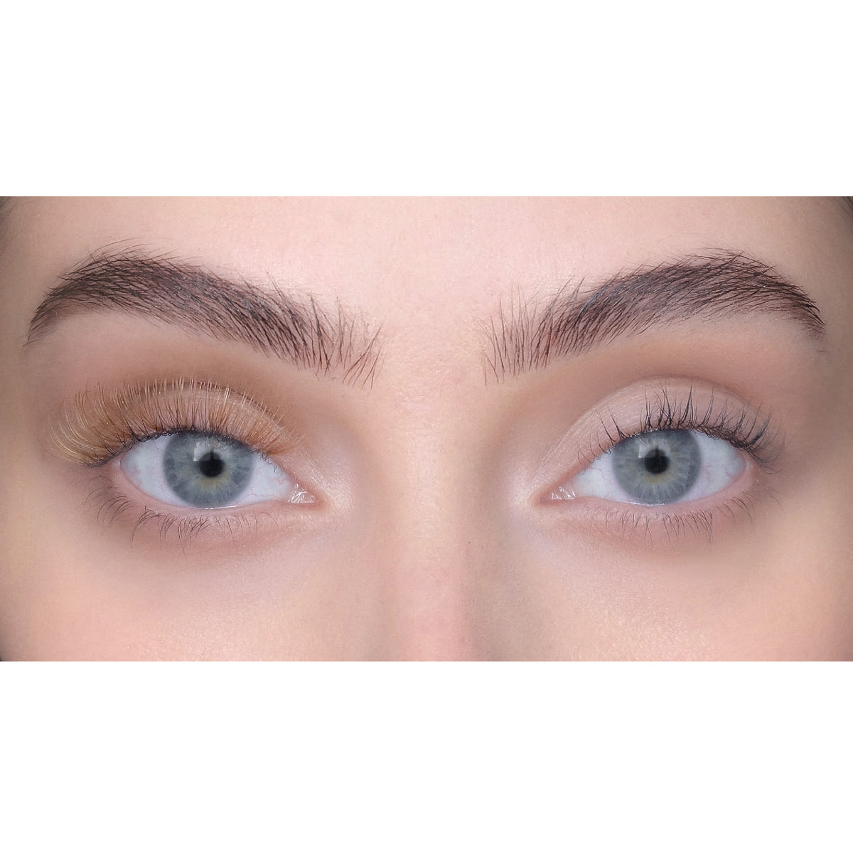 SWEED Lashes - Dina (Dark Blonde) - Model Shot