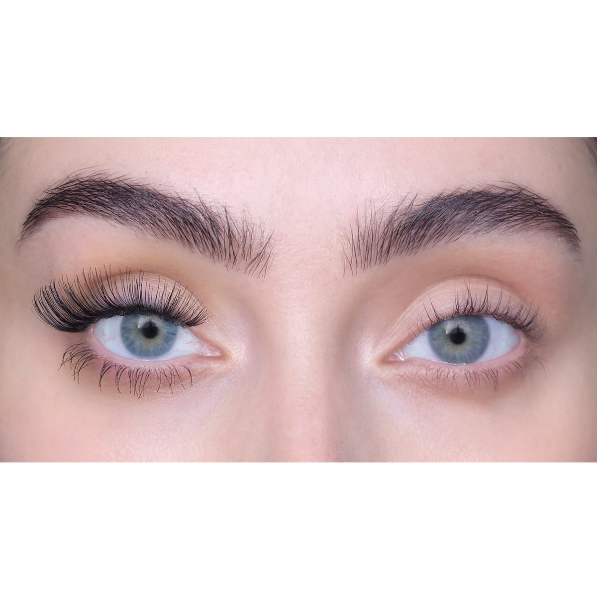 SWEED Lashes - Iconic (Model Shot)