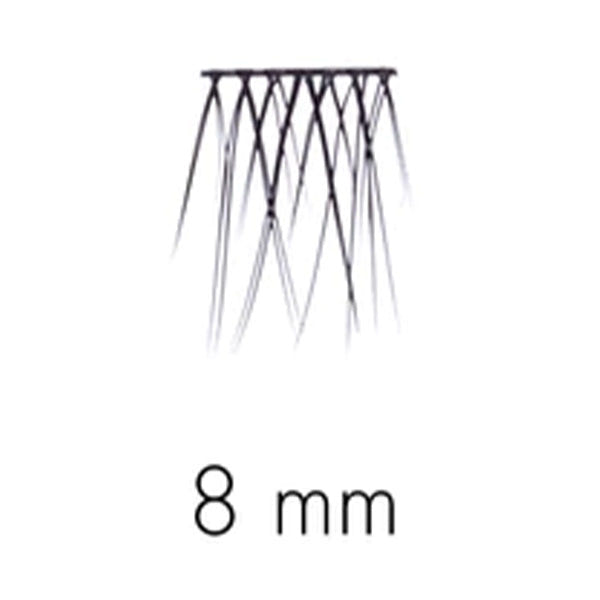 SWEED Lashes - No Lash Cluster 8mm (Lash Scan)