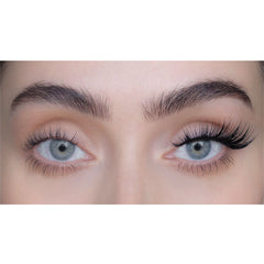 SWEED Lashes - North 3D (Model Shot)